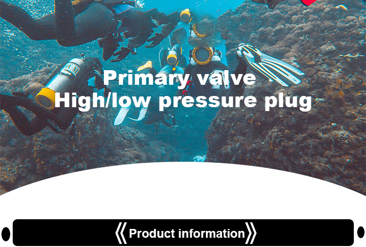 Brass regulator plug (1).jpg